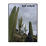 Señor "SA-WAH-RO" Postcards