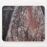 "Sensation: Dorsal Root Ganglion" mousepads