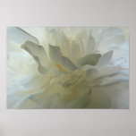 Sensual Delight poster posters