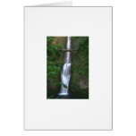 Sensual Sanctuary cards