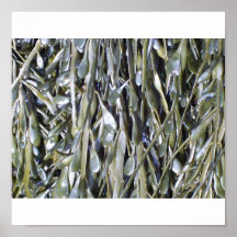 Sensual Seawed Posters