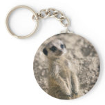 Sentry-in-Training Keyring keychains