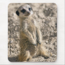 Sentry in Training Mousemat mousepads