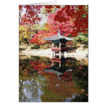 Seoul Autumn Colours Cards