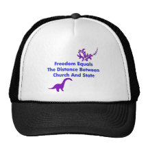 Separation of Church and State Mesh Hat