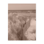 Sepia Beach Scene postcards