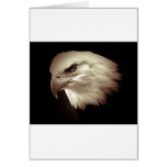 Sepia Colour Bald Eagle Greeting Card