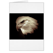 Sepia Colour Bald Eagle Greeting Card