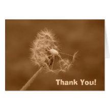 Sepia Dandelion Thank You! Card