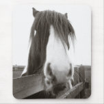 Sepia Horse Portrait Mousepad