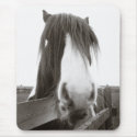Sepia Horse Portrait Mousepad