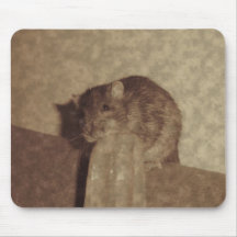 Sepia Pet Rat Eating Ice Cream Mouse Pad