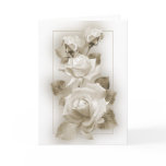 Sepia Roses cards