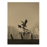 Sepia Tone Eagle Weather vane Postcard