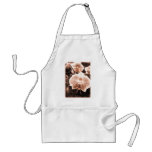 Sepia Tone Phaleonopsis Orchid aprons