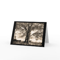 Sepia Tree Greeting Card