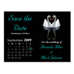 September 2009 Save the Date, Wedding Announcement Postcard