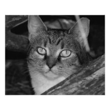September 2013 - B&W Photograph