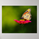 September Monarch posters