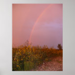 September Wildflowers posters