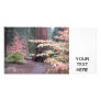 Sequoia national park photo card template
