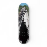 Sequoia Park skateboards