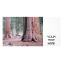 Sequoia  Tree King Customized Photo Card
