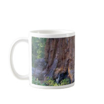Sequoias Forrests Bark Fences Coffee Mug