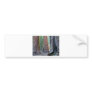Sequoias Tree Forests Bumper Sticker