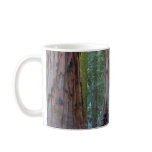 Sequoias Tree Forests Coffee Mugs