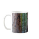 Sequoias Tree Forests mugs