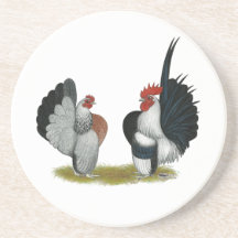 Serama Bantams Beverage Coasters