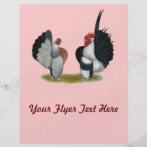 Serama Bantams Full Color Flyer