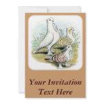 Seraphim Custom Invitation