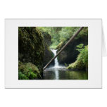 Serene cards
