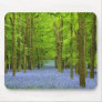 Serene Forest Mousepad