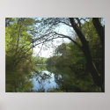 serene lake posters