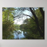 serene lake posters