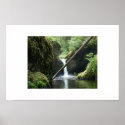 Serene posters