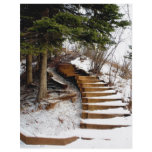 Serene Stairway flyers