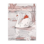 Serene Swan Gives Rabbit a Lift Post Card