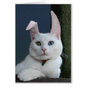 Serenity as Bunny card