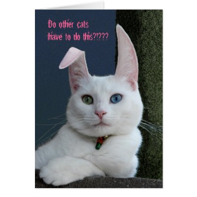 Serenity as Bunny card - customised by odd_eyed