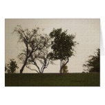 Serenity cards