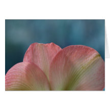 Serenity Card