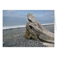 Serenity Cards
