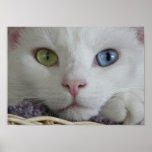 Serenity Close-up poster