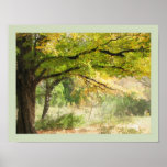 Serenity, Fine Art Print or Poster