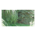 Serenity photo cards