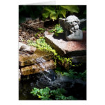 Serenity Pond Card